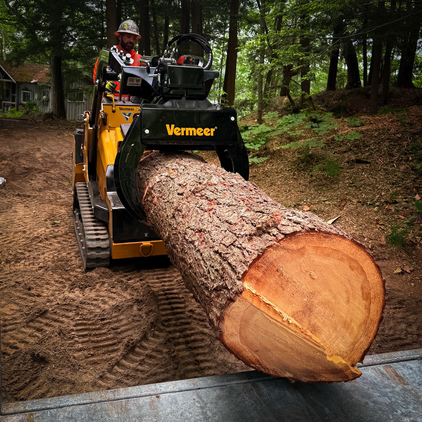 Blackstone Tree project 12