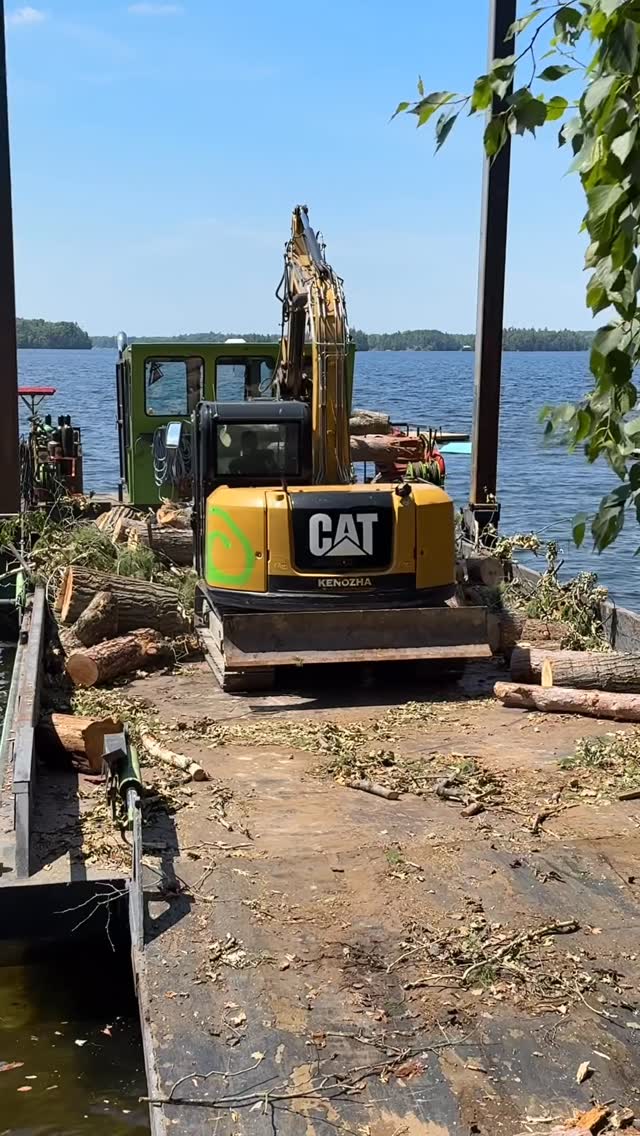 Blackstone Tree project 20